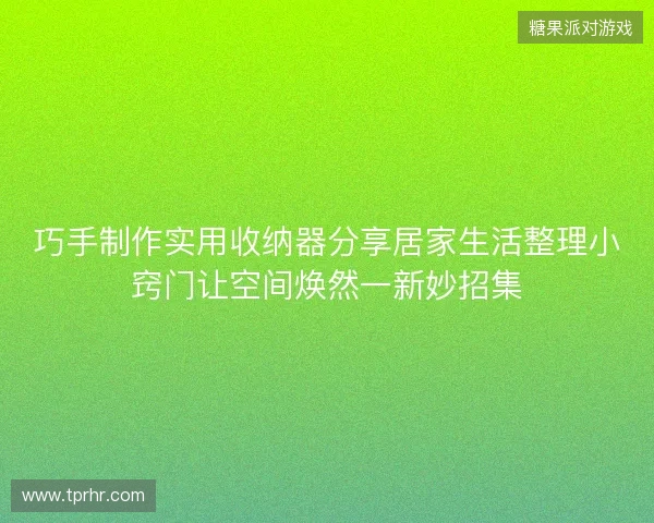 巧手制作实用收纳器分享居家生活整理小窍门让空间焕然一新妙招集