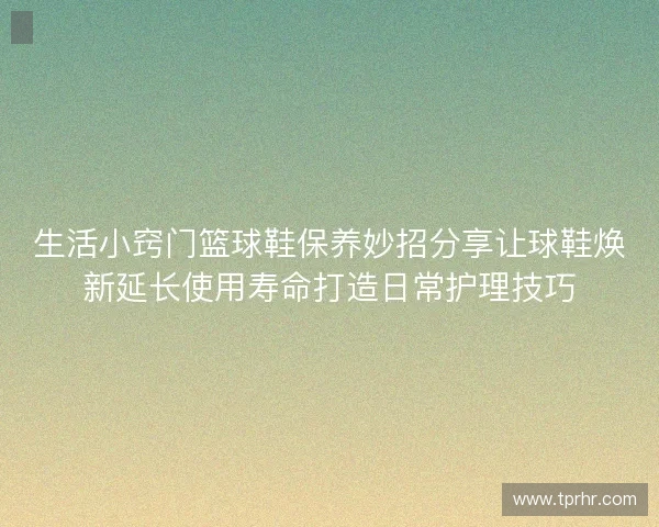 生活小窍门篮球鞋保养妙招分享让球鞋焕新延长使用寿命打造日常护理技巧